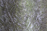 St Michael Church fibreglass roof work